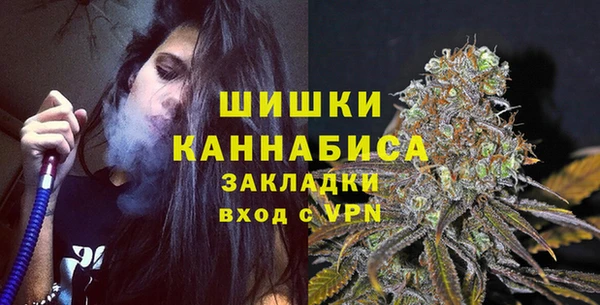 стаф Покачи