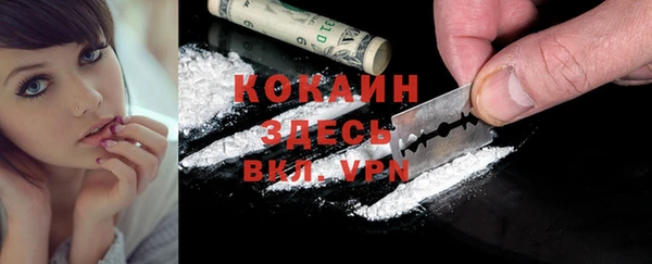 стаф Покачи