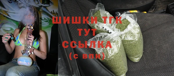 стаф Покачи