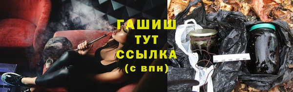 стаф Покачи