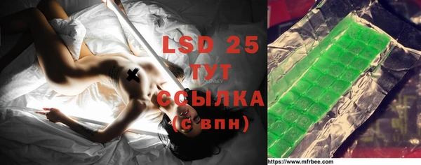 стаф Покачи