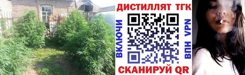 Дистиллят ТГК THC oil  ОМГ ОМГ   Боготол  где купить наркоту 