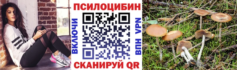 Псилоцибиновые грибы мицелий  Боготол 